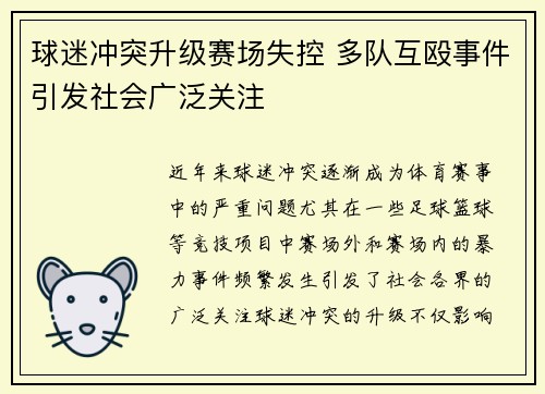 球迷冲突升级赛场失控 多队互殴事件引发社会广泛关注